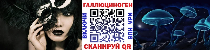закладка  Тюкалинск  Галлюциногенные грибы Psilocybine cubensis 